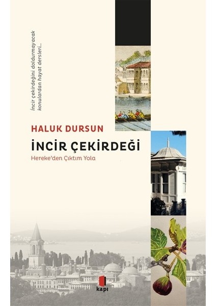 Incir Çekirdeği - Haluk Dursun