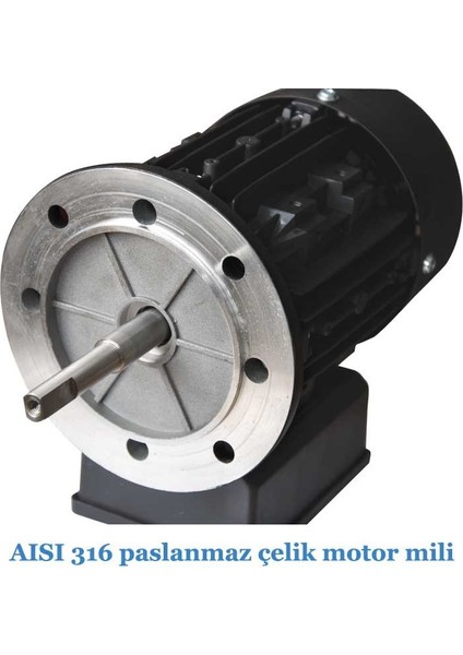 Streamer Mini Strm-150m 1,5 Hp, Monofaze Kendinden Emişli Pompa
