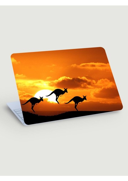 Avustralya'da Gün Batımı Yavru Kangurular Laptop Sticker
