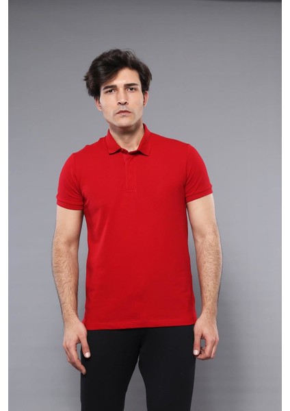 Erkek Polo Yaka Slim Fit düz Tişört