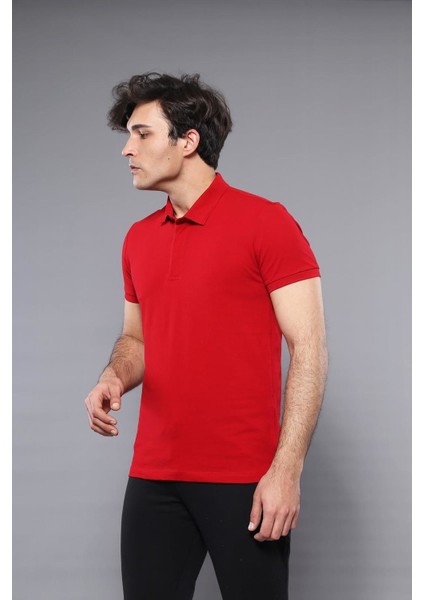 Erkek Polo Yaka Slim Fit düz Tişört