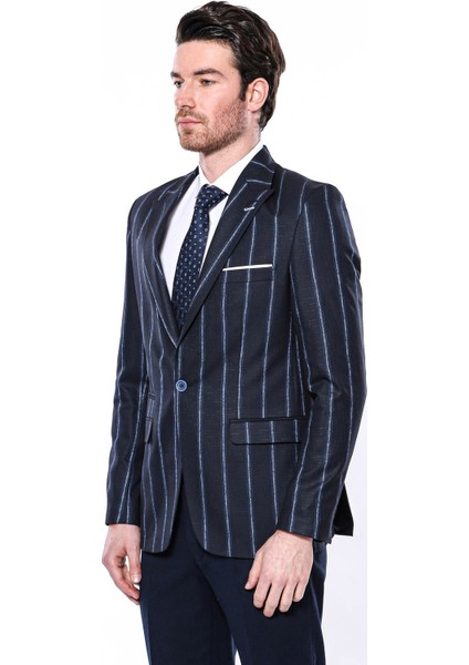 Erkek Çizgili Slim Fit Ceket fiyatları