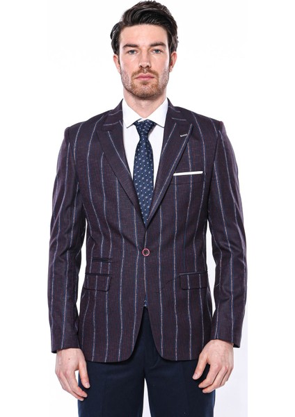 Erkek Çizgili Slim Fit Ceket