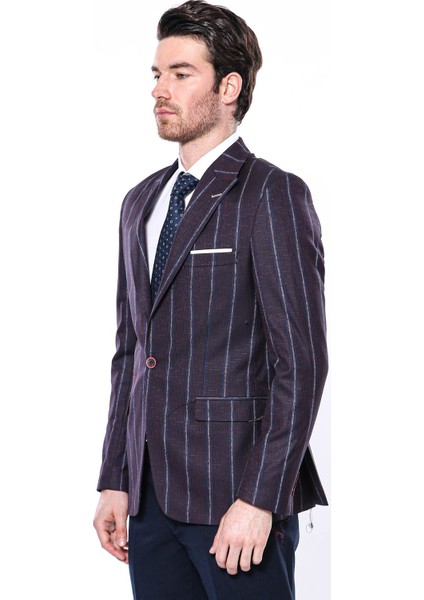 Erkek Çizgili Slim Fit Ceket fiyatları
