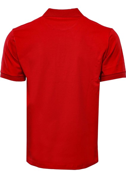 Erkek Slim Fit Polo Yaka Düz Tişört fiyatları