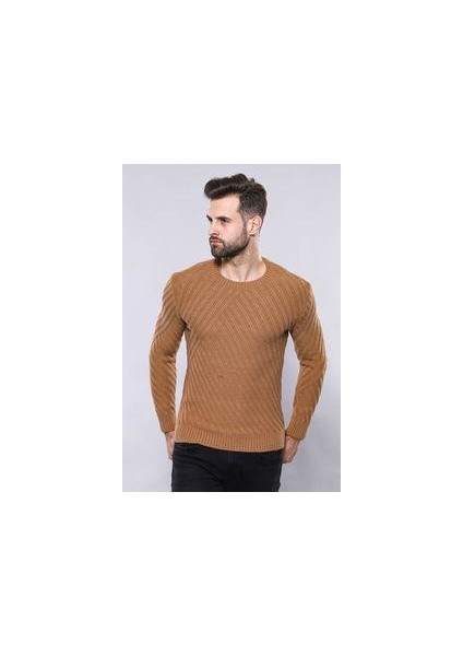Erkek Desenli Bisiklet Yaka Slim Fit Triko