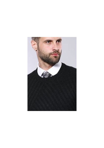 Erkek Desenli Bisiklet Yaka Slim Fit Triko