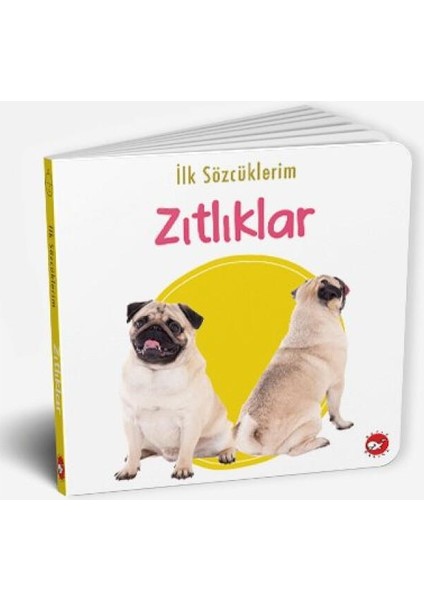 İlk Sözcüklerim - Zıtlıklar