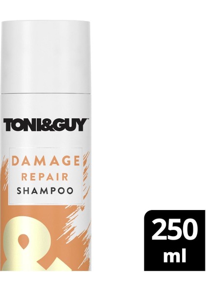 Tonı&guy Şampuan Yıpranmış Saçlar Için 250 ml