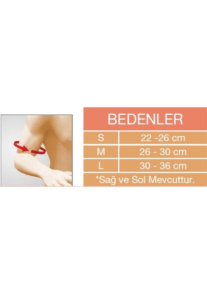 ® Humerus Breysi ( Sağ Omuz ) Orx-O 305