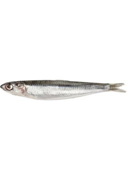 Balık-Hamsi 1 kg