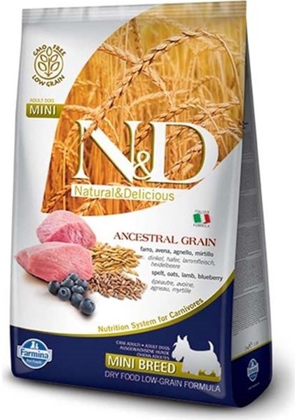 Düşük Tahıllı Kuzu-Yaban Mersini Küçük Irk Yetişkin Maması 2.5 kg Idili