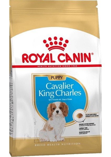Cavalier King Charles Junior Yavru Köpek Maması 1,5 kg 2'li Set Idili