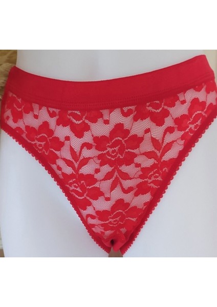 12'li Pamuklu Önü Dantelli Safir Kadın Bikini Külot