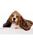 Thermo Blanket Sıvı ve Rüzgar Geçirmez Polar Pati Baskılı Köpek Battaniyesi 60 x 80 cm 1