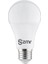 9W Beyaz LED Ampül 1