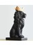 Aslan Kral Biblo Siyah 36 cm 5
