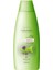 Naturals Isırgan Burdock Otu Şampuan 700 Ml. 1