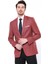 Erkek Kendinden Desenli Sivri Yaka Slim Fit Ceket 3