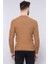 Erkek Desenli Bisiklet Yaka Slim Fit Triko 3
