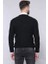 Erkek Desenli Bisiklet Yaka Slim Fit Triko 3