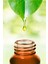 Menengiç (Bıttım-Çitlenbik) Yağı Soğuk Pres 20 ml 4 Lü 4