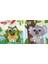 Kurbağa Kuki - Koala Kori Bu Kocaman Gözler Kimin Hareketli Kitaplar 2'li Set 1