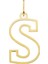 14 Ayar Altın S Harfi Kadın Kolye Ucu 1