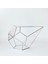 Dekoratif Cam Fanus. Teraryum Cam Fanus. Geometrik Cam Fanus. 1