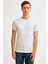 Bisiklet Yaka Basic Tshirt 3