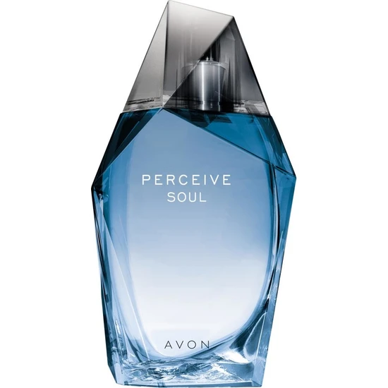 Avon Perceive Soul Erkek Parfümü 100 ml
