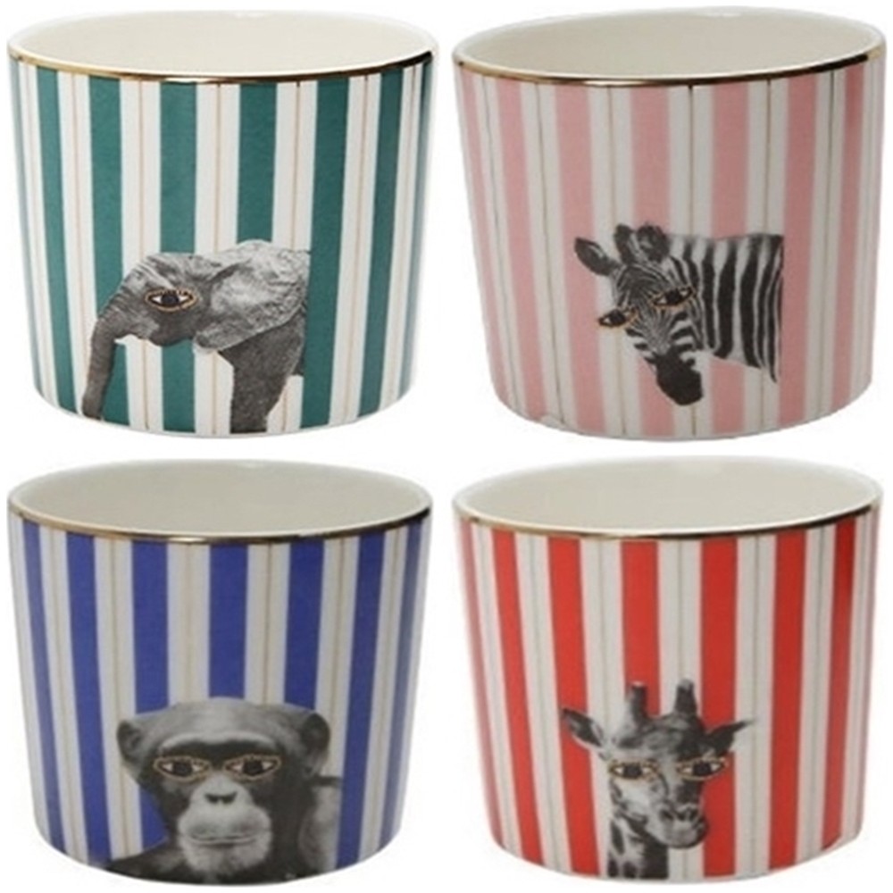 Porland Wild Life 4'lü Bardak Takımı Desenli Porselen Renkli 230 cc Pop-Art Tasarım