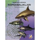 Kraken Kitap Türk Sularında Köpekbalıkları / Hakan Kabasakal