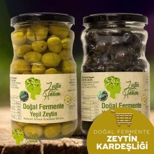 Zeytin Hanım Zeytin Kardeşliği