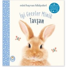 Iyi Geceler Minik Tavşan - Amanda Wood