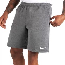 Nike Team Park 20 CW6910-063 Erkek Şort