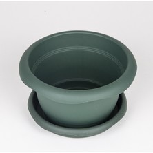 Veramaya Tabaklı Menekşe Saksı Yeşil 16X9 cm No:2