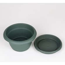 Veramaya Tabaklı Menekşe Saksı Yeşil 16X9 cm No:2