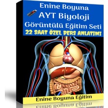 Enine Boyuna Eğitim AYT Biyoloji Görüntülü Eğitim Seti (22 Saat Özel Ders Anlatımı)