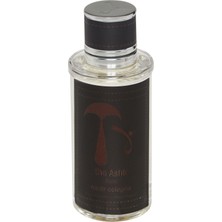 The Ashk Plain Nadir Kolonya 100 ml (Incir & Yasemin & Karabiber)