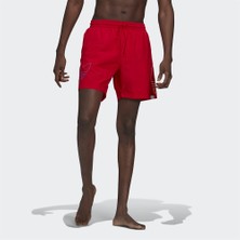 Adidas Adicolor Fto Swim Erkek Şort