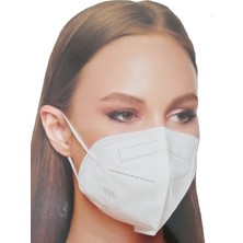 Securex FFP2/N95 Nr 50 Adet Maske