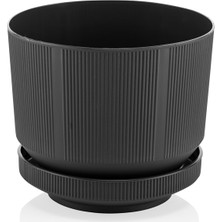 Serinova Lüks Saksı Tk. 6 lt