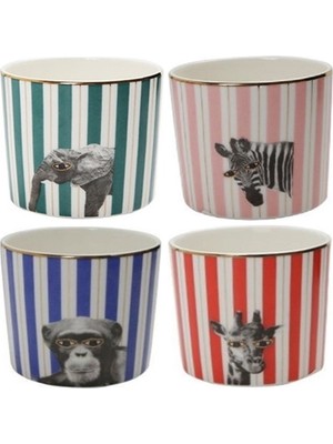 Porland Wild Life 4'lü Bardak Takımı Desenli Porselen Renkli 230 cc Pop-Art Tasarım