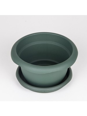 Veramaya Tabaklı Menekşe Saksı Yeşil 16X9 cm No:2