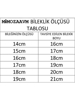 Mimoza Charm Uyumlu Pave Taşlı Kalp Kadın Gümüş Bileklik 16CM