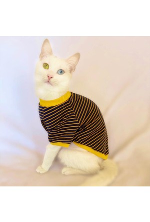 Kedi Giyim Urunleri Ve Cesitleri Burada Hepsiburada