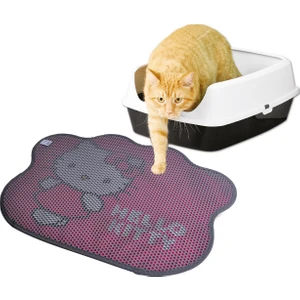 Hello Kıtty Paspas Pati 02