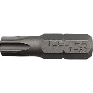 Izeltaş - 4830210030 - T 30 Tor x Bits Uç 25 mm
