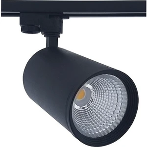 30W Siyah Kasa Günışığı Ray Spot